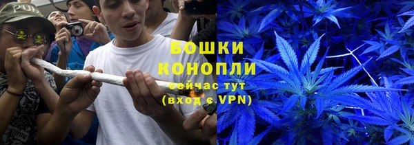 ПСИЛОЦИБИНОВЫЕ ГРИБЫ Вяземский